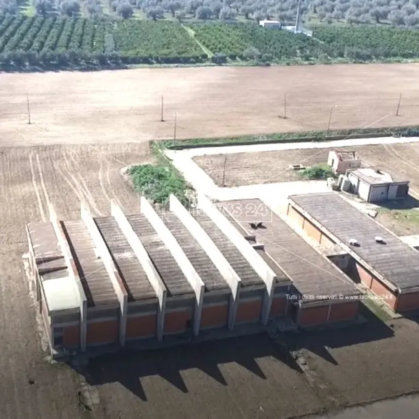 Palazzetto di Insiti a Corigliano Rossano, convocato l’ex capo dell’avvocatura comunale