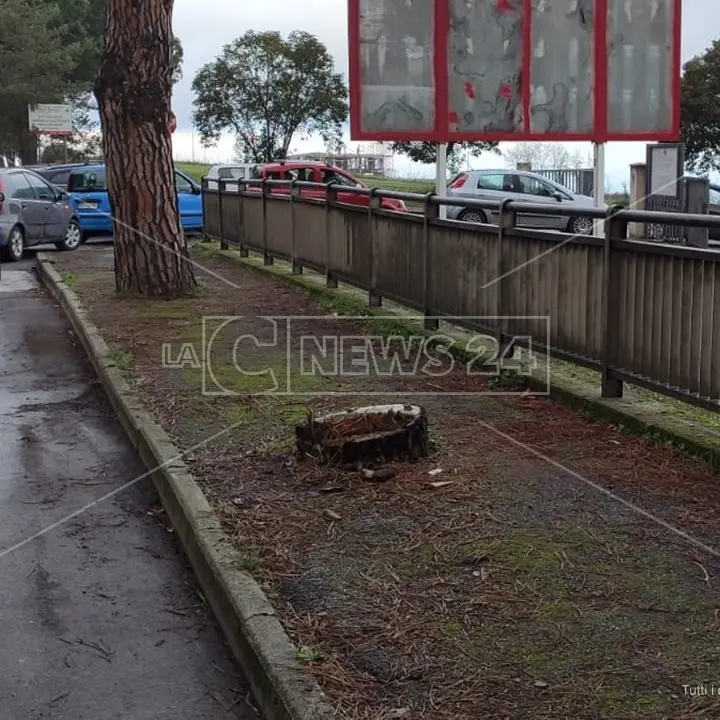 Vibo, uomo tira un pugno a operatore della Prociv mentre è in fila per il tampone