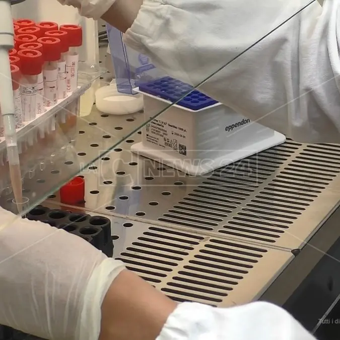 Covid Calabria, laboratori privati abilitati a eseguire test molecolari: l'ordinanza