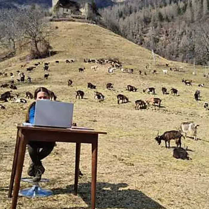 La scuola è chiusa, Fiammetta segue le lezioni on line sulle montagne circondata dalle capre