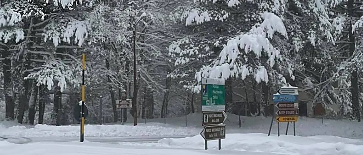 Ancora neve in Calabria, fiocchi sull’A2 e nell’area delle Serre