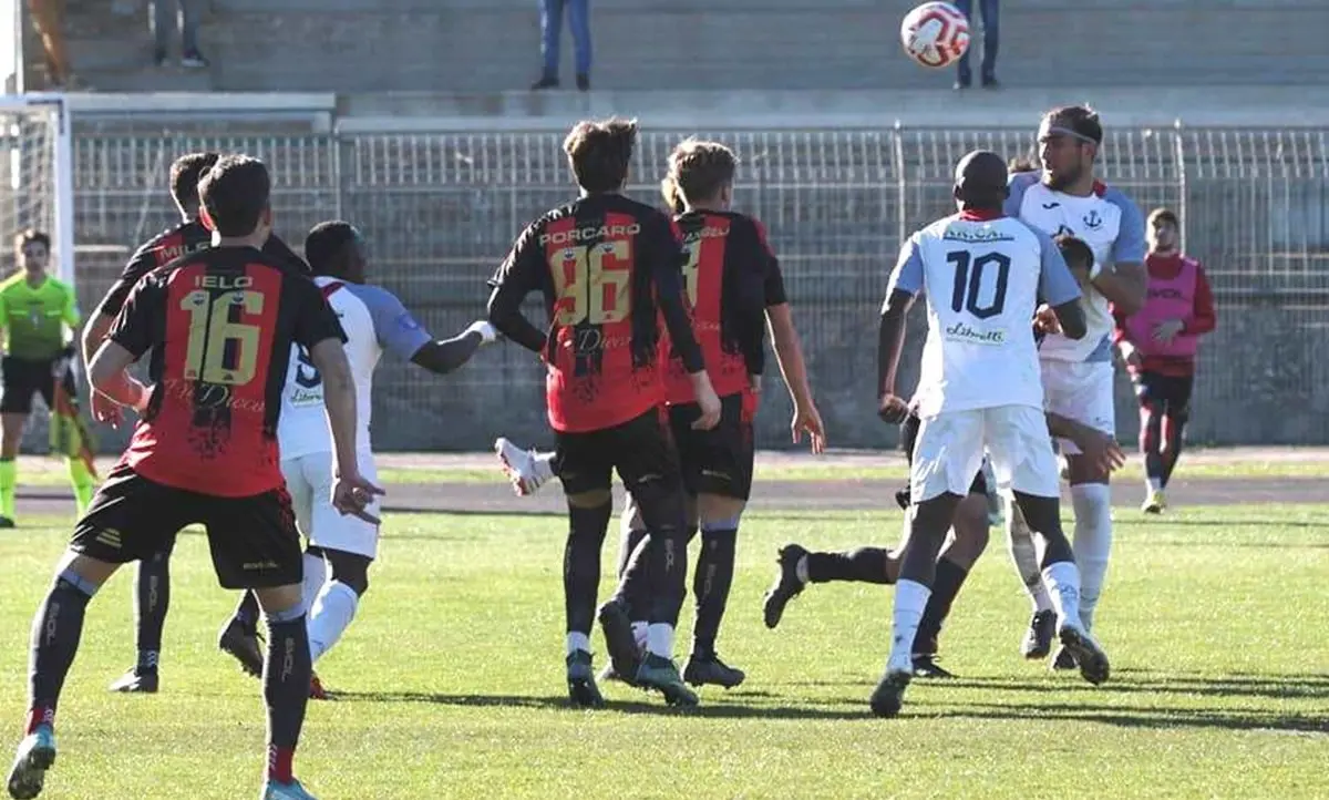 Serie D, Castrovillari e Cittanova a caccia di punti utili per la salvezza