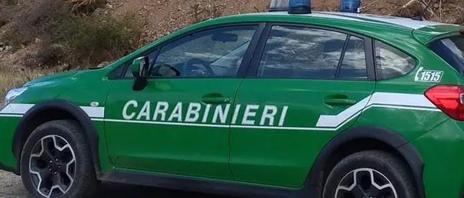 Sequestrata discarica abusiva a Gioia Tauro: all'interno vecchi automezzi e rifiuti speciali