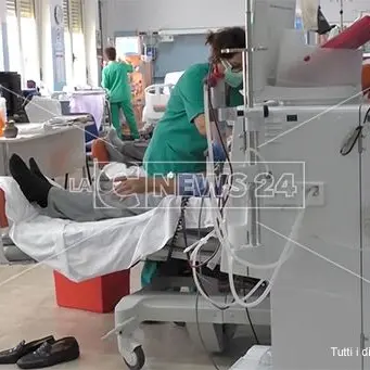 «In Calabria malati di reni ignorati», la denuncia di Aned che si appella a Mattarella