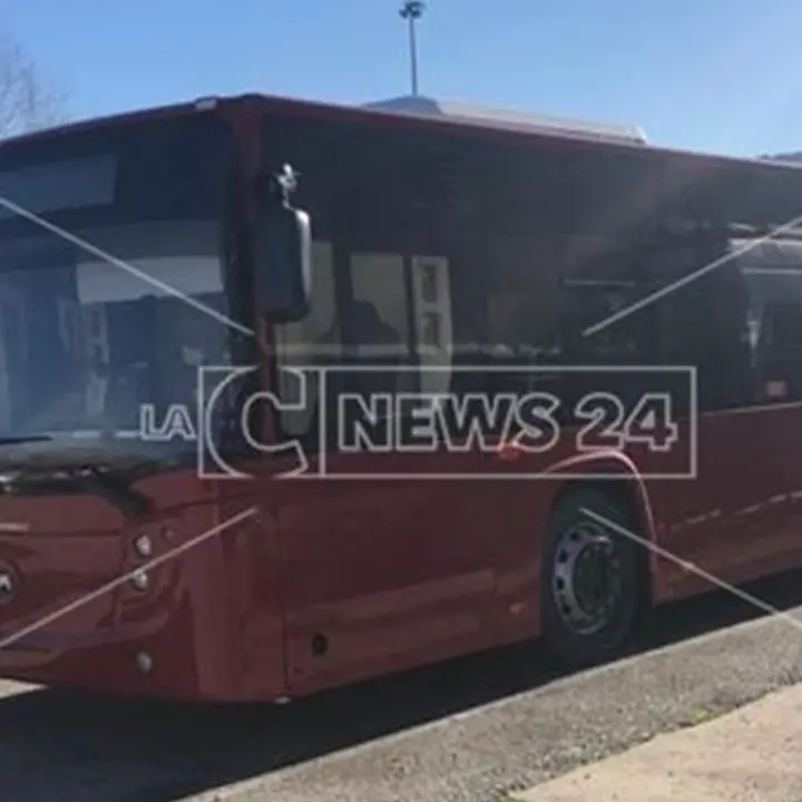 Cosenza, autista bus sorpreso a forzare la cassetta delle monete: arrestato