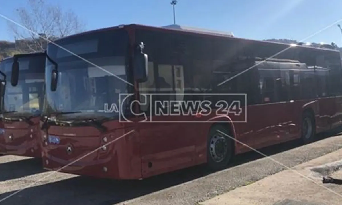 Cosenza, autista bus sorpreso a forzare la cassetta delle monete: arrestato