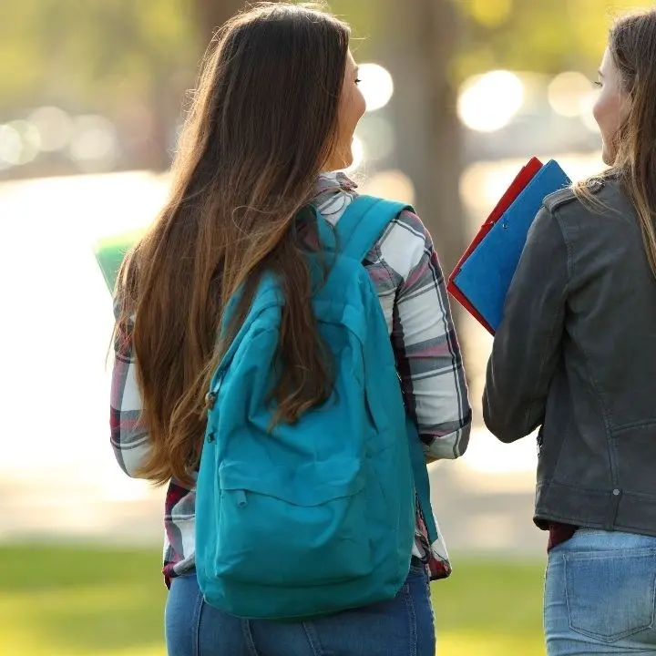 Molestie a studentesse, il Senato accademico di Catanzaro: «L'Ateneo adotti misure più efficaci»