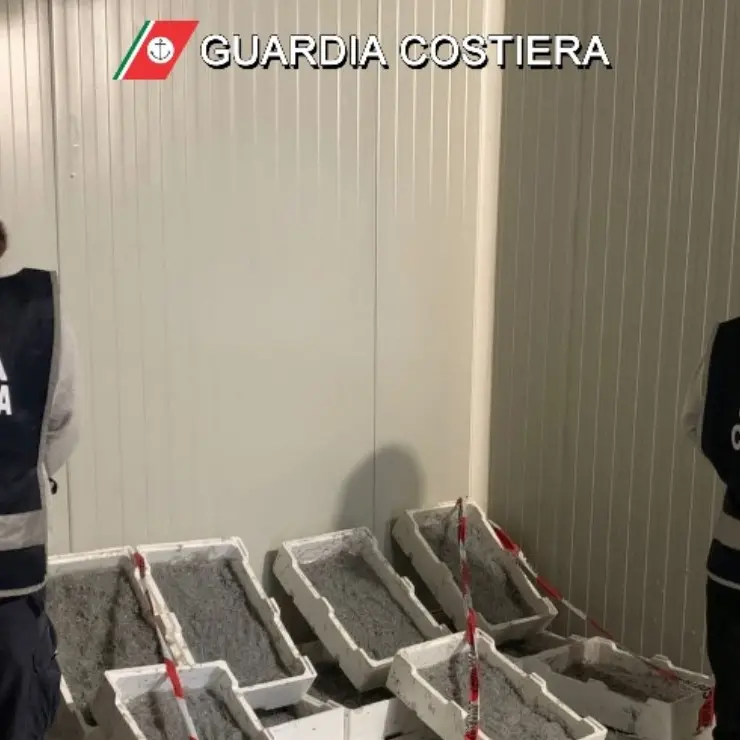 Sibaritide, fermato furgone con a bordo più di 2 tonnellate di novellame di sarda