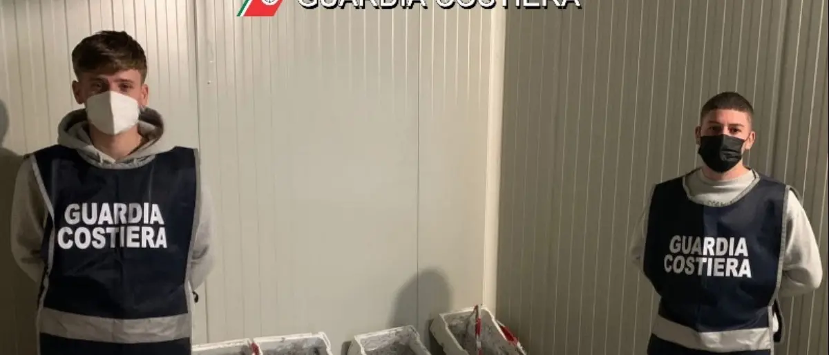 Sibaritide, fermato furgone con a bordo più di 2 tonnellate di novellame di sarda