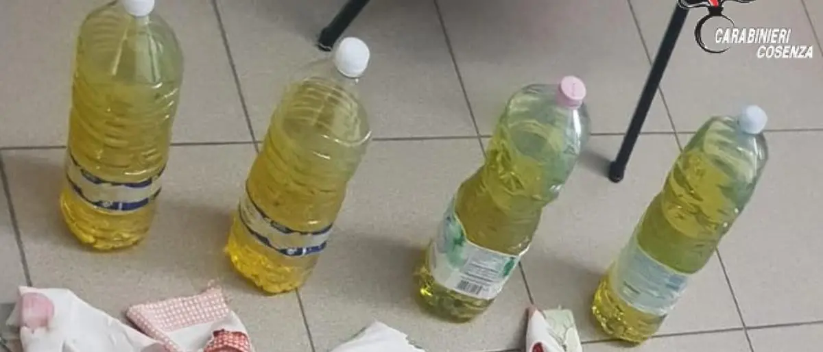 Corigliano-Rossano, detenevano in casa bottiglie incendiarie: denunciati due giovani