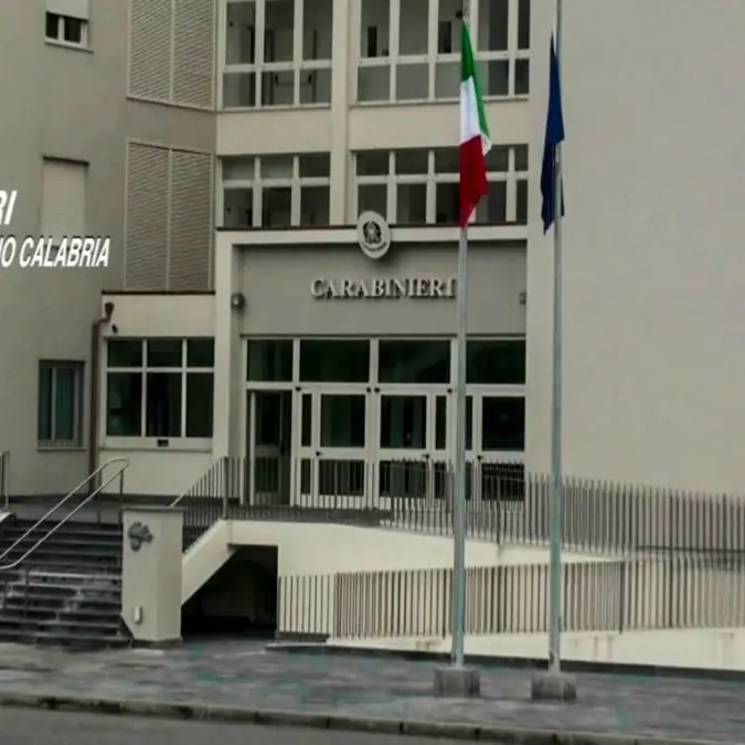 Platì, 48 piante di marijuana nel seminterrato: arrestato 23enne