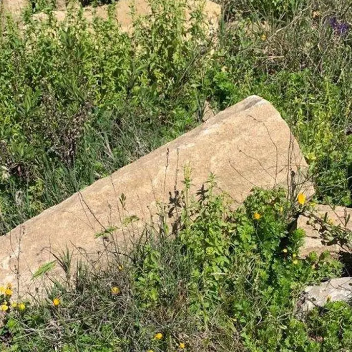 Archeologia, scoperto insediamento di epoca greca nel Crotonese: recuperati reperti