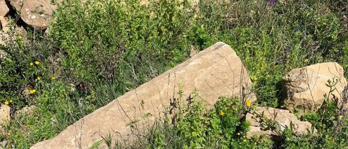 Archeologia, scoperto insediamento di epoca greca nel Crotonese: recuperati reperti