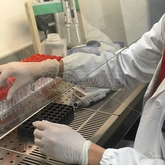 Covid, in Calabria predomina la variante inglese: «Raggiunge l'80% dei casi»