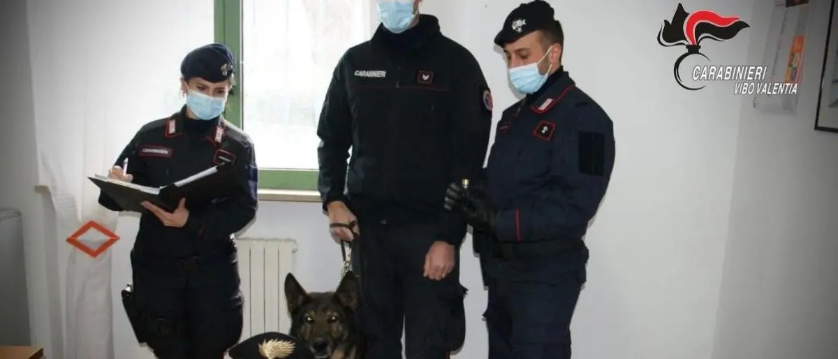 Armi clandestine e bombe carta artigianali in casa: arrestato 37enne nel Vibonese