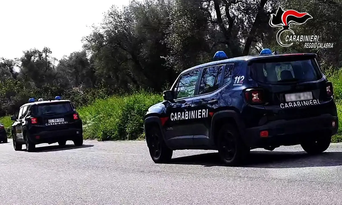 Controlli dei carabinieri alle aziende agricole della Piana: sanzioni per 14mila euro