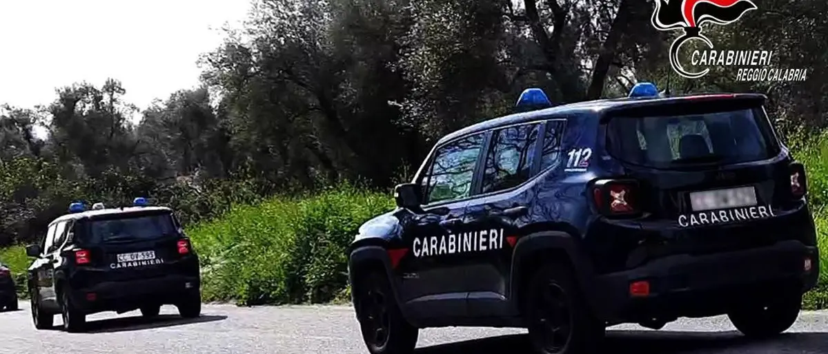 Controlli dei carabinieri alle aziende agricole della Piana: sanzioni per 14mila euro