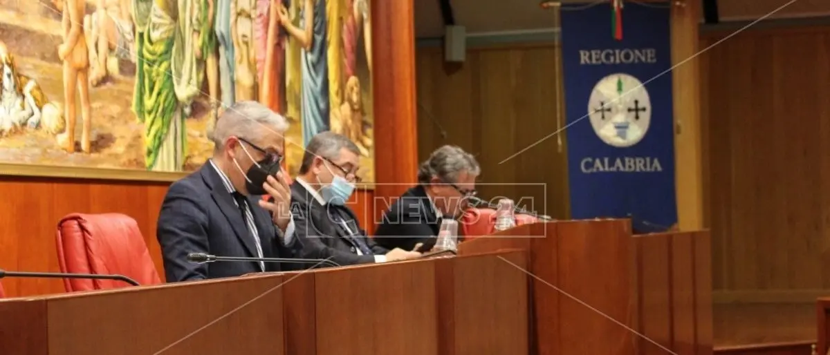 Consiglio, Tallini attacca e Spirlì deraglia: «Elezioni? Inutile scatola di cartone dove infilare la scheda»