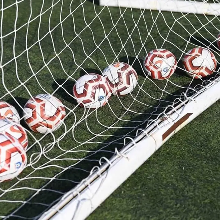 Serie D, un terremoto in arrivo: ipotizzati illeciti in diverse partite