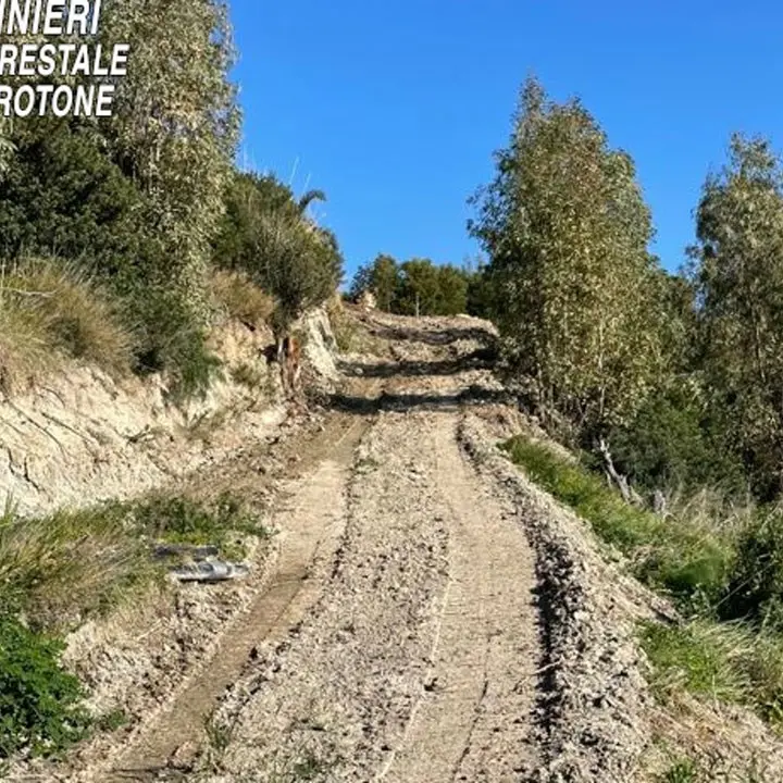 Isola Capo Rizzuto, realizza strada nel bosco di Praialonga: denunciato 53enne
