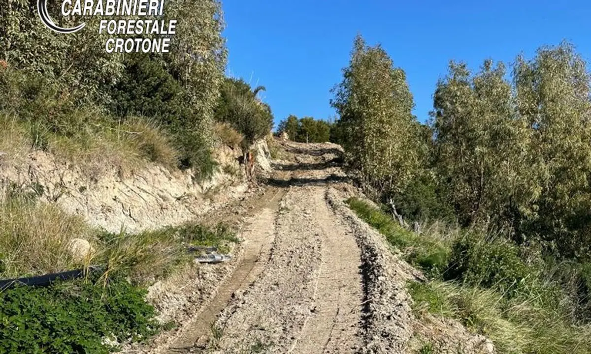 Isola Capo Rizzuto, realizza strada nel bosco di Praialonga: denunciato 53enne