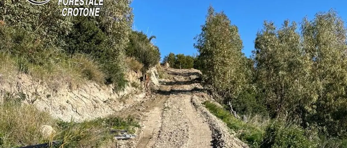 Isola Capo Rizzuto, realizza strada nel bosco di Praialonga: denunciato 53enne