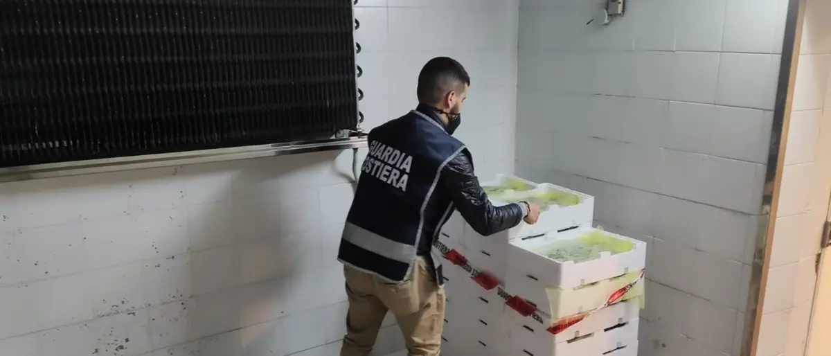 Strongoli, sequestrati cento chili di bianchetto: sanzioni per 4mila euro