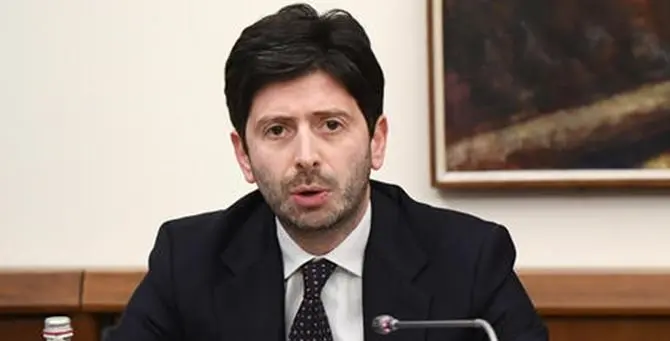 Parlamentari calabresi incontrano il ministro Speranza: «Istituito tavolo permanente su sanità»