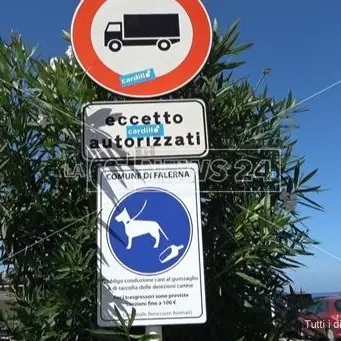 Falerna, Tar annulla ordinanza di divieto dei cani sul lungomare: «Illogica e illegittima»