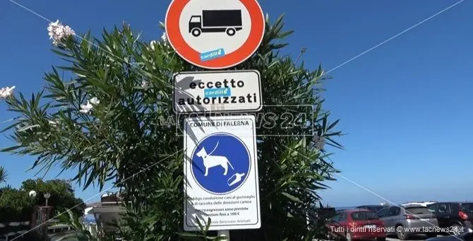 Falerna, Tar annulla ordinanza di divieto dei cani sul lungomare: «Illogica e illegittima»