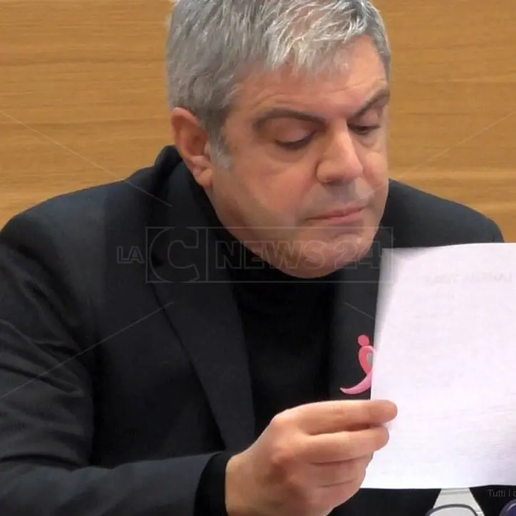 Lamezia, il Tribunale dà ragione a Pegna: nessuna incompatibilità in Consiglio comunale