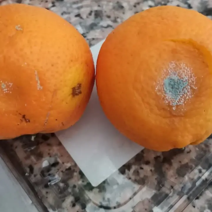 Lamezia, frutta marcia nelle scuole. Adiconsum: «Si facciano controlli preventivi»