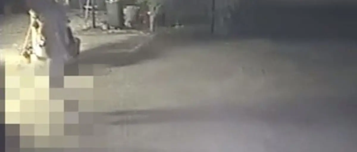 Anziana rapinata e massacrata di botte a Briatico, condannato 23enne