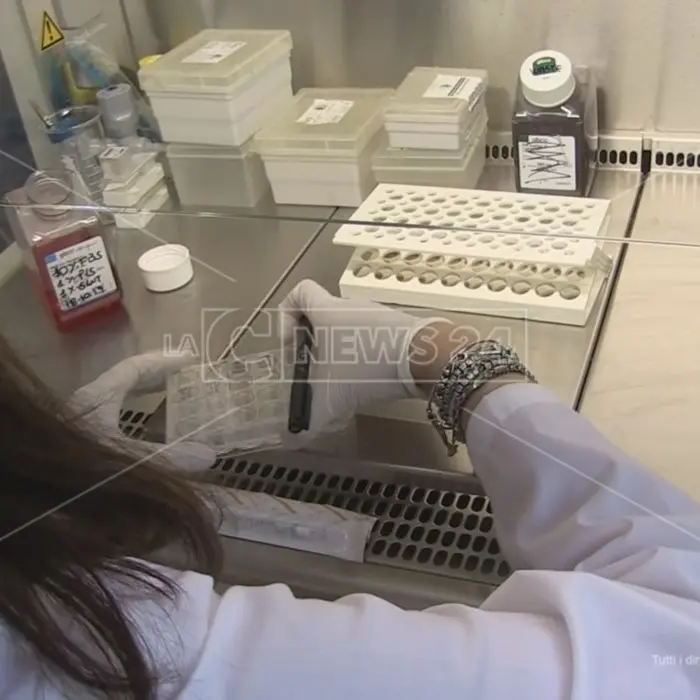Covid, variante brasiliana identificata in un anziano già vaccinato