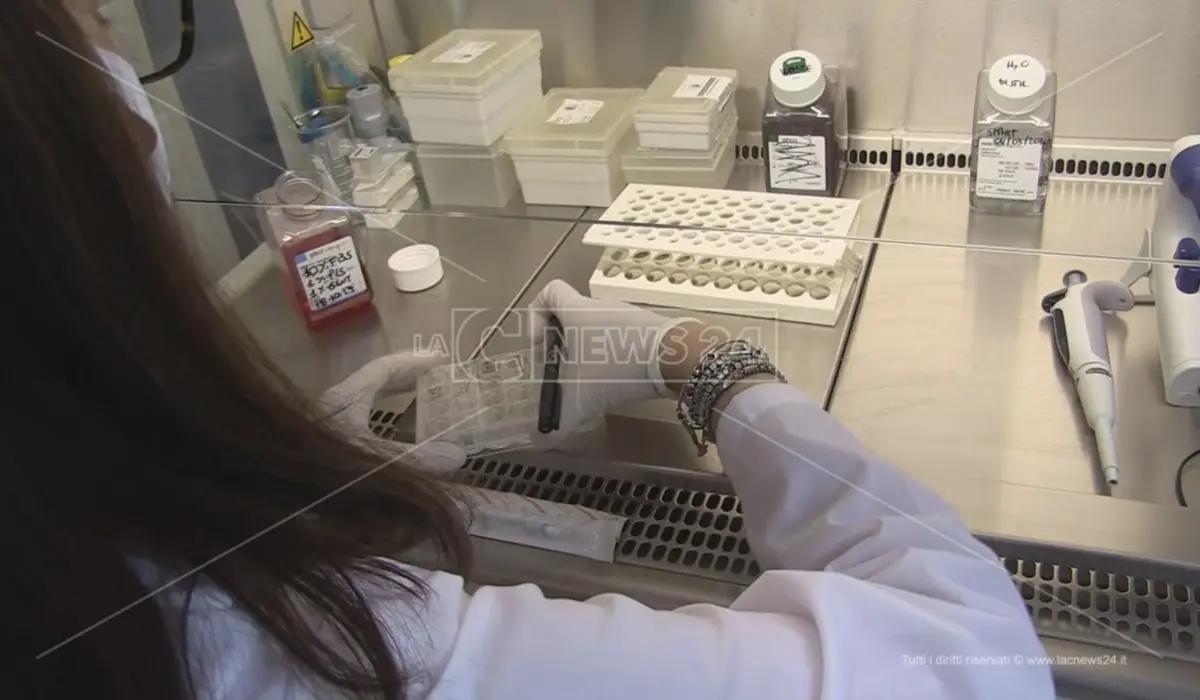 Covid, variante brasiliana identificata in un anziano già vaccinato