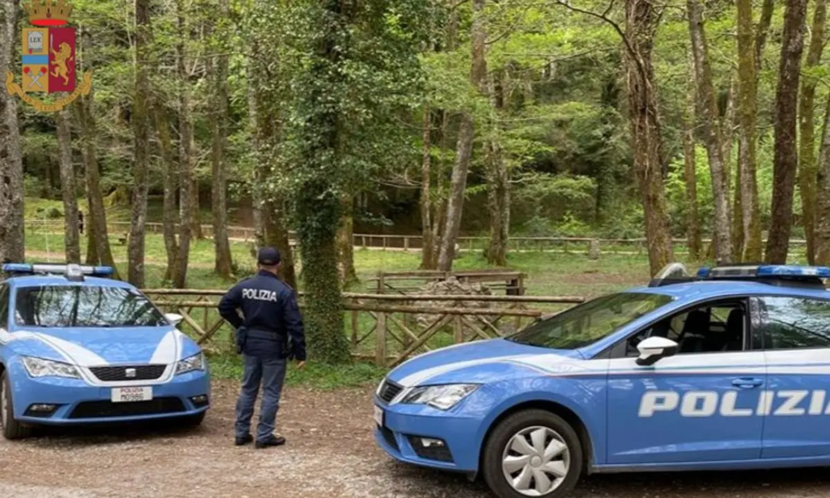 Scampagnata e barbecue a Serra San Bruno, sanzionate sei persone