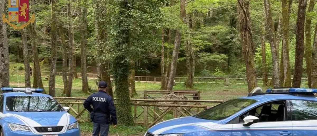 Scampagnata e barbecue a Serra San Bruno, sanzionate sei persone
