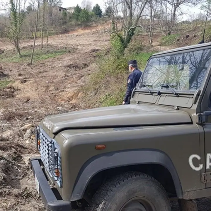 Lavori abusivi in un’area boschiva, denunciato un uomo nel Cosentino