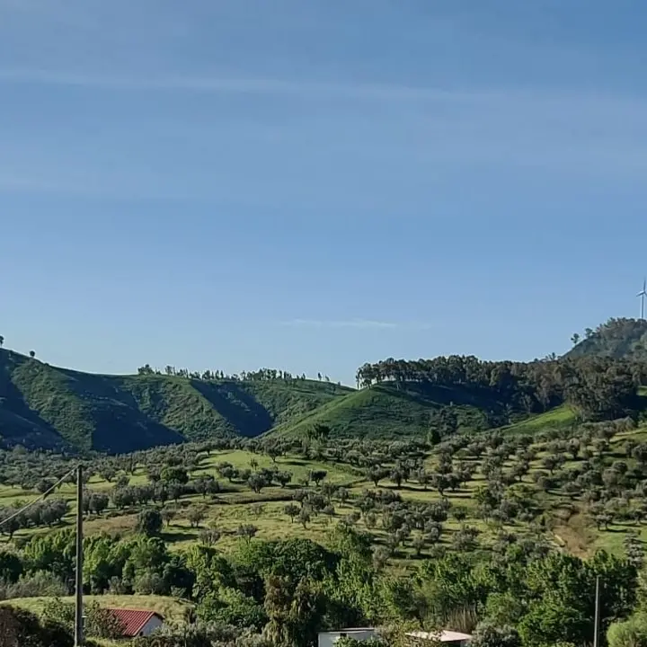 Palco eolico a Marcellinara, l'appello del sindaco: «La Regione blocchi il progetto»