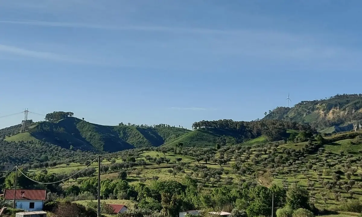 Palco eolico a Marcellinara, l'appello del sindaco: «La Regione blocchi il progetto»