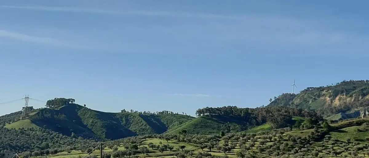 Palco eolico a Marcellinara, l'appello del sindaco: «La Regione blocchi il progetto»