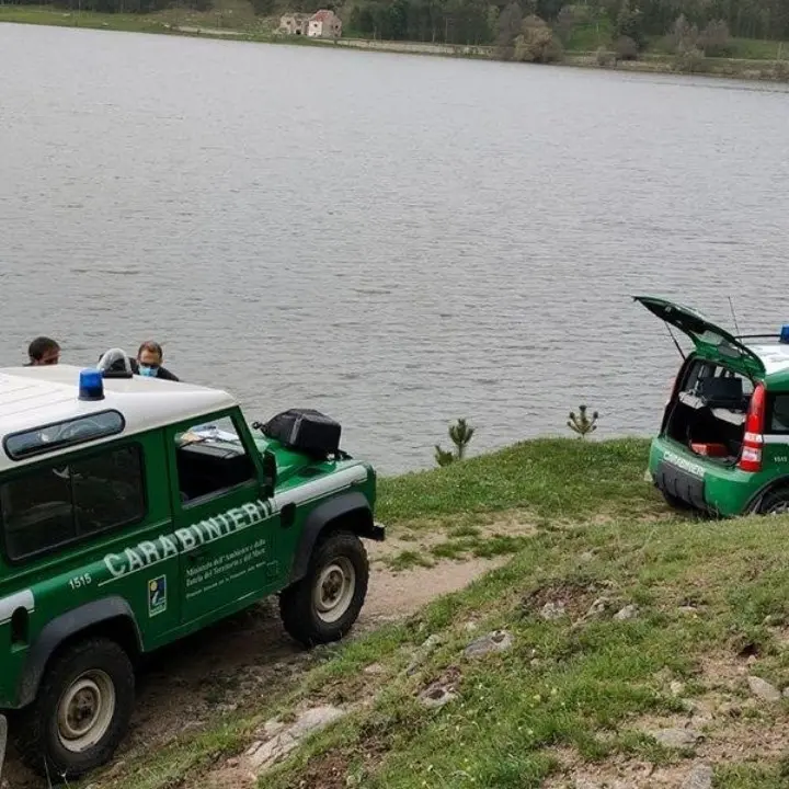 Con una carabina ad aria compressa in pieno parco della Sila: un denunciato