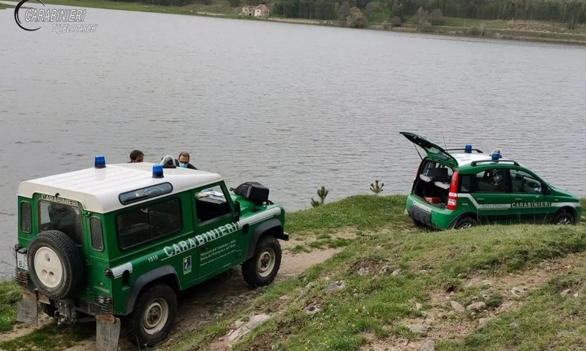 Con una carabina ad aria compressa in pieno parco della Sila: un denunciato