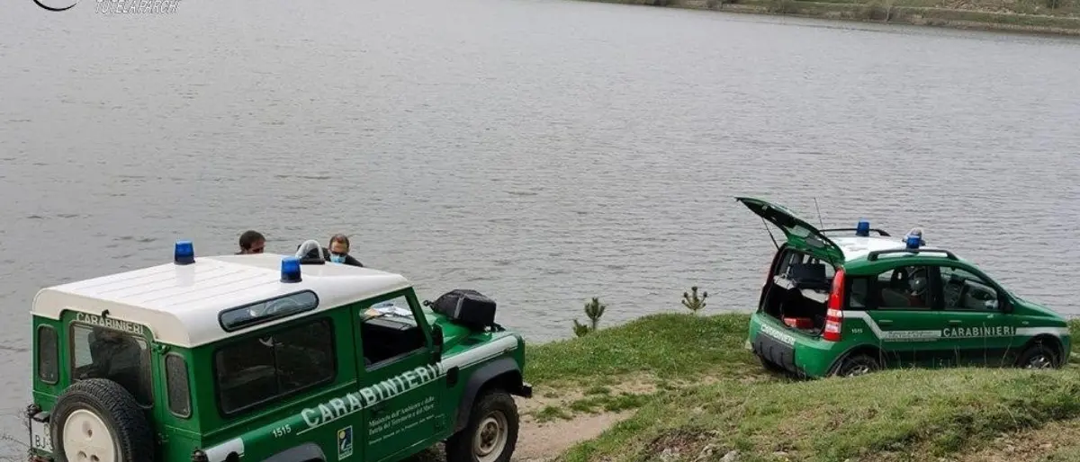 Con una carabina ad aria compressa in pieno parco della Sila: un denunciato