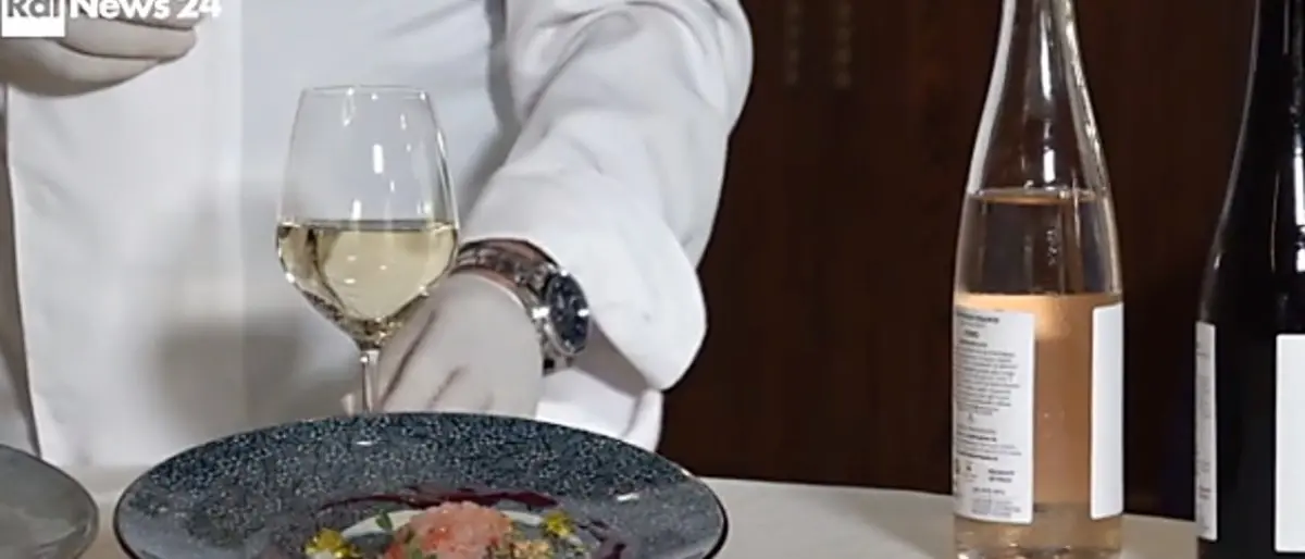 Storie di ripartenza, l’abbraccio tra le cantine Benvenuto e i piatti dello chef Romano su Rainews