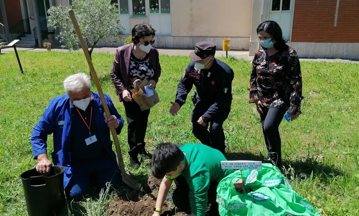 Lamezia, il progetto “Un albero per il futuro” dei carabinieri fa tappa nella scuola di Sant'Eufemia