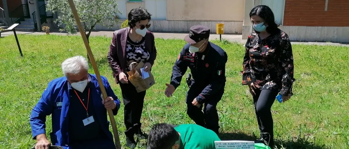 Lamezia, il progetto “Un albero per il futuro” dei carabinieri fa tappa nella scuola di Sant'Eufemia