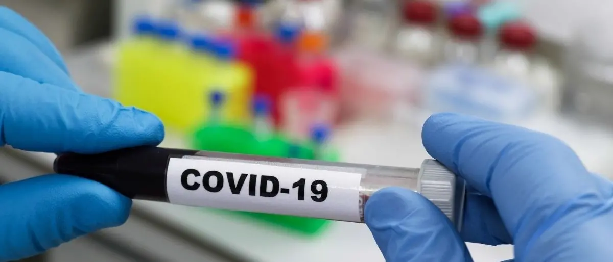 Covid in Calabria, mai così bassi i contagi da mesi: 71 positivi e 666 guarigioni nel bollettino