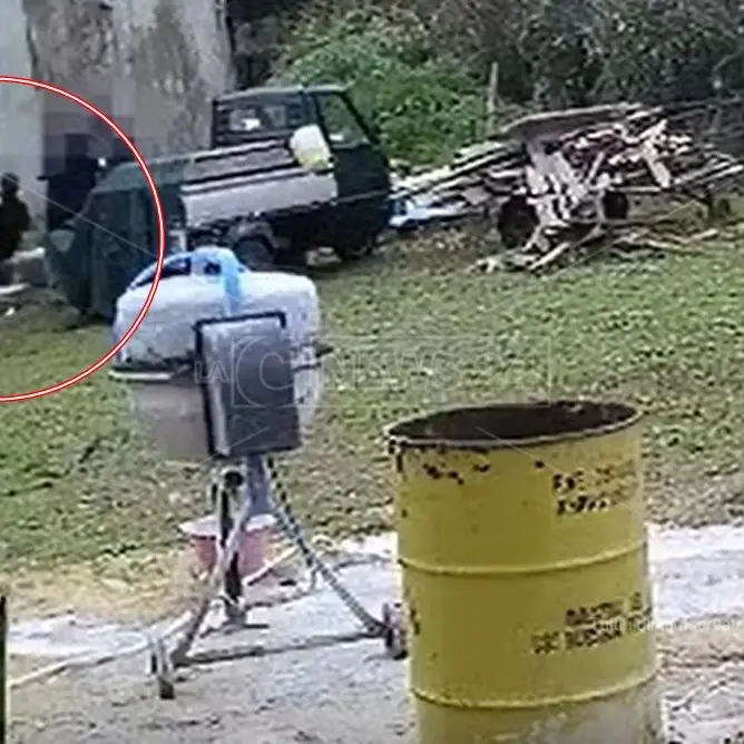 Cimitero degli orrori a Tropea, i tre arrestati lasciano il carcere