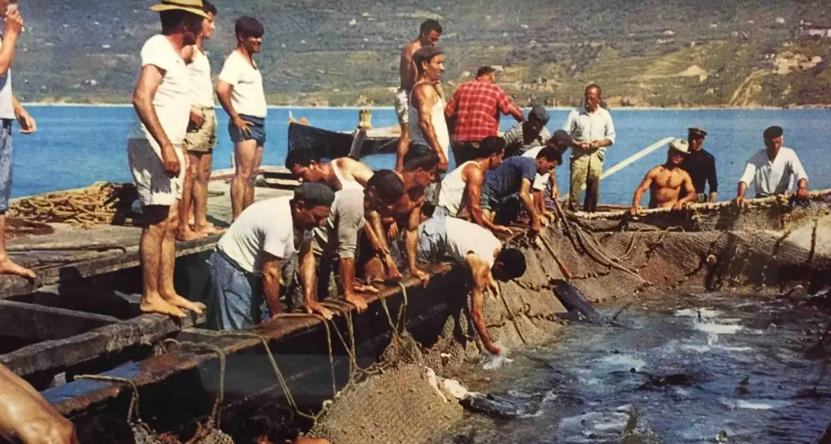 Vibonesi “cardijàri” e pizzitani “mangiagàrgi”, la rivalità a colpi di nomignoli